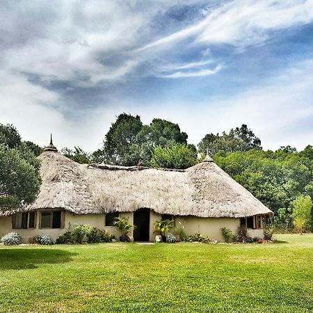 House In The Wild Guest House มาไซมารา ภายนอก รูปภาพ