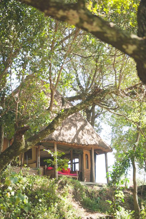 House In The Wild Guest House มาไซมารา ห้อง รูปภาพ