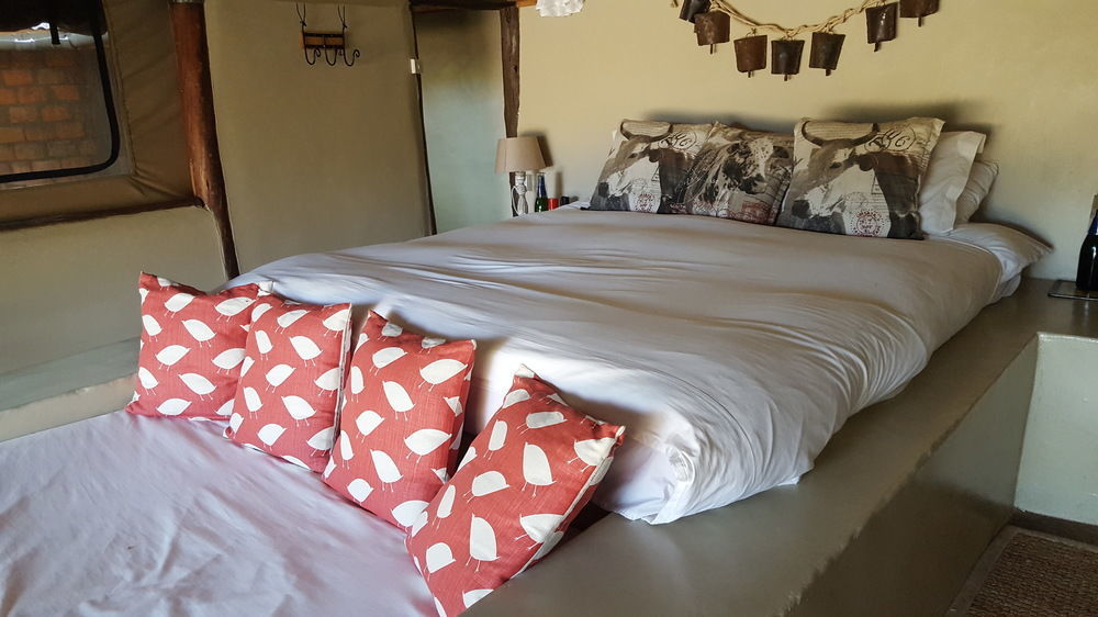 House In The Wild Guest House มาไซมารา ภายนอก รูปภาพ